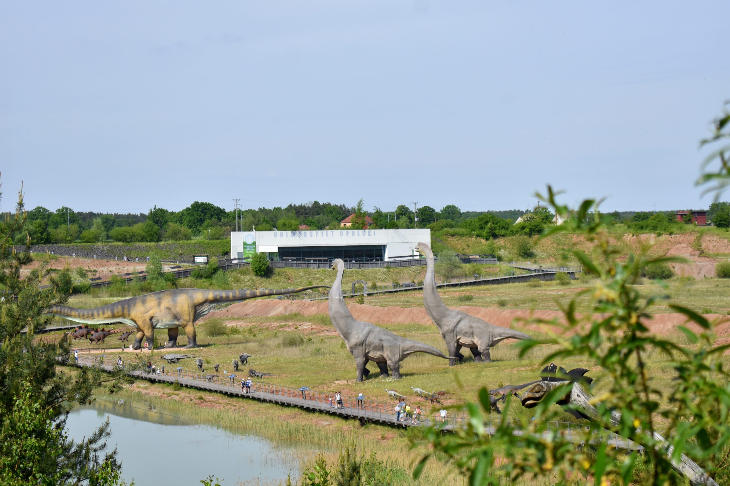 panorama ścieżki z dinozaurami
