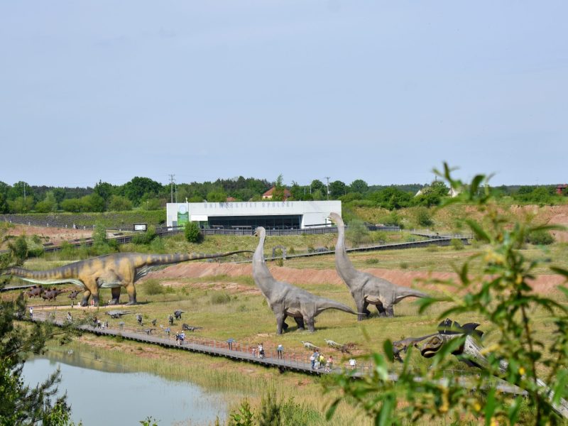 panorama ścieżki z dinozaurami