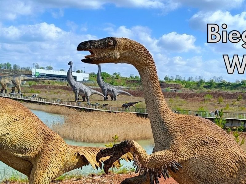 WYCIECZKI (1620 x 520 mm) (1)