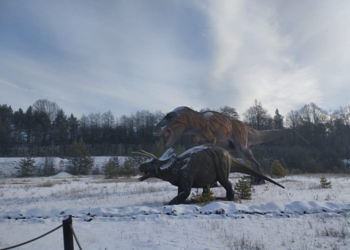 a9045152-4d6e-421c-8c30-733e8f6c3768