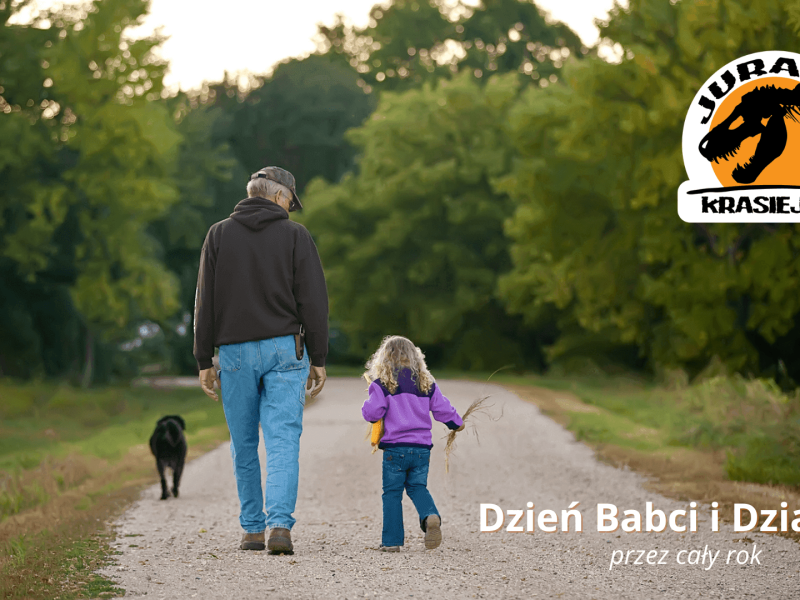 aktualność strona (1)